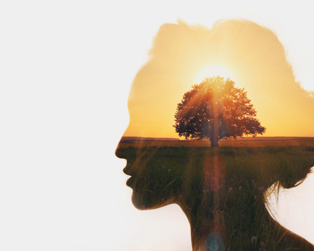 Double exposure image of a woman's profile silhouette overlaid with a sunny landscape showing a single tree in a field, symbolizing inner nature or well-being.